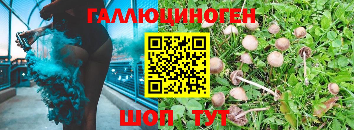 Лесосибирск  Галлюциногенные грибы GOLDEN TEACHER  Вход с VPN 